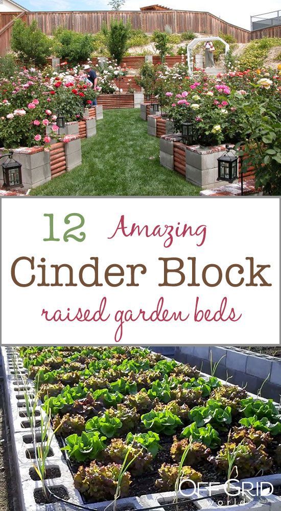 12 Amazing Cinder Block Raised Garden Beds -   24 cinder block raised garden
 ideas