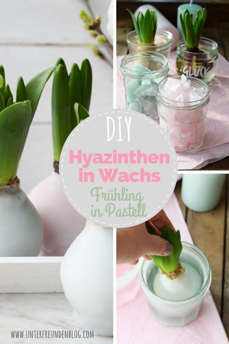 DIY: Hyazinthen in Wachs – Fr?hlingsdeko in Pastell -   24 diy deko einfach
 ideas