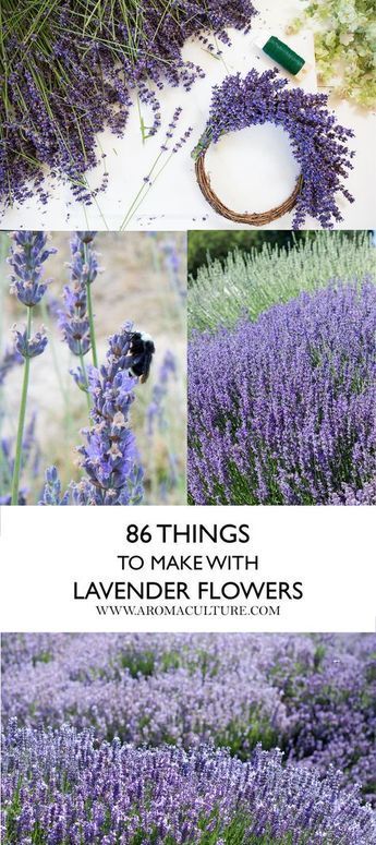86 Ways to Use Lavender -   24 flower garden crafts ideas