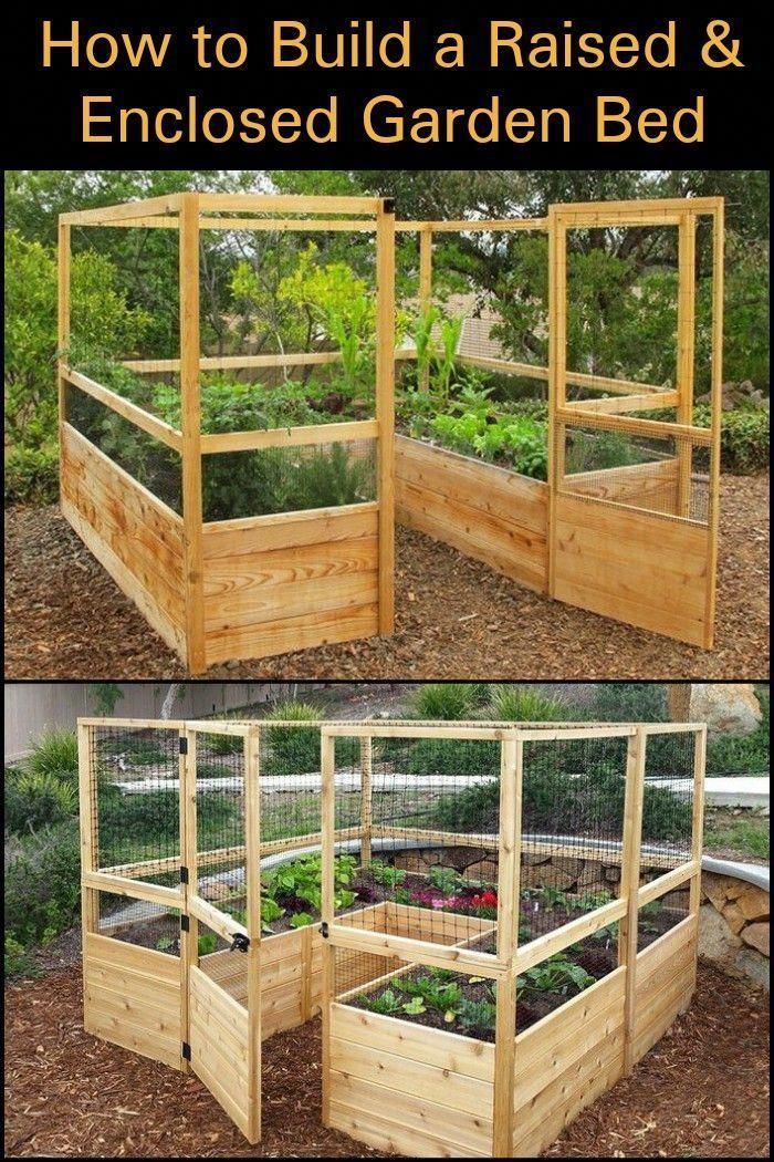 Easy Organic Gardening Tips From The Pros -   24 garden boxes design
 ideas