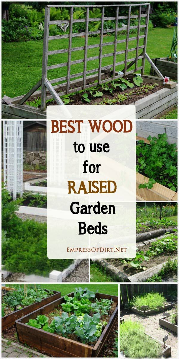 Tips for Choosing the Best Wood for Raised Garden Beds -   24 garden boxes design
 ideas