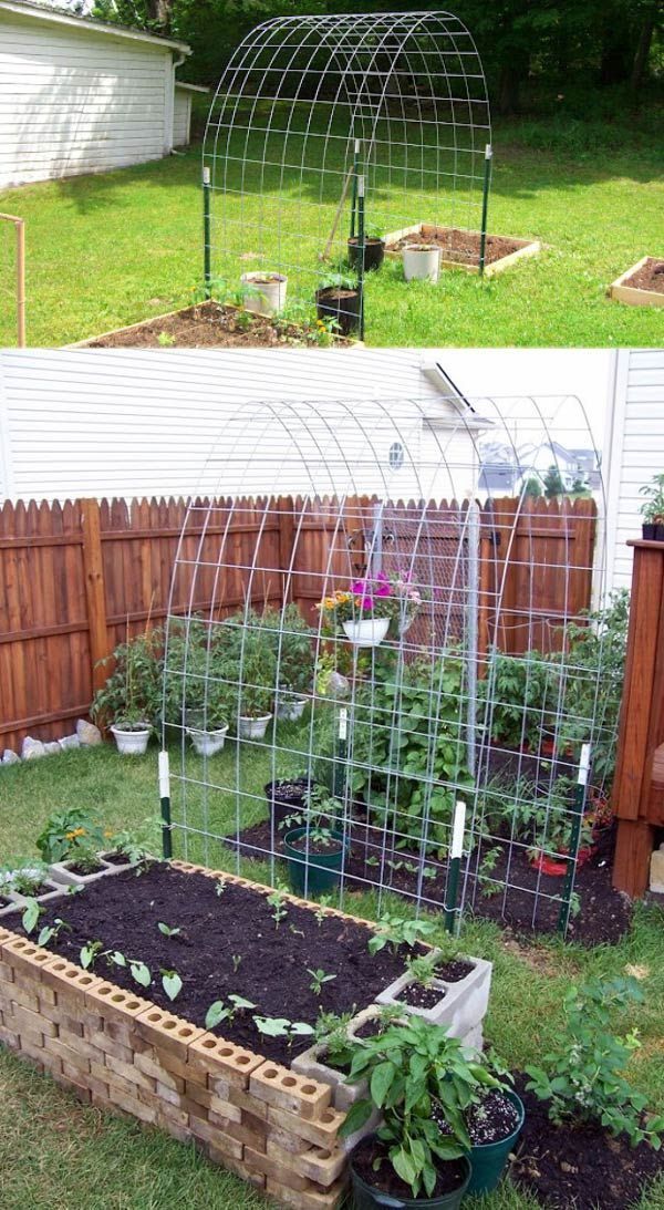 19 Successful Ways to Building DIY Trellis for Veggies and Fruits -   24 garden boxes design
 ideas