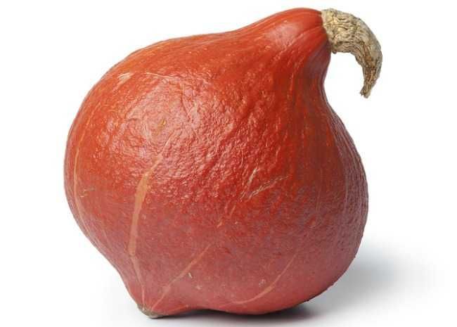 Red Kuri Squash or Hokkaido Pumpkin -   24 red kuri squash recipes
 ideas