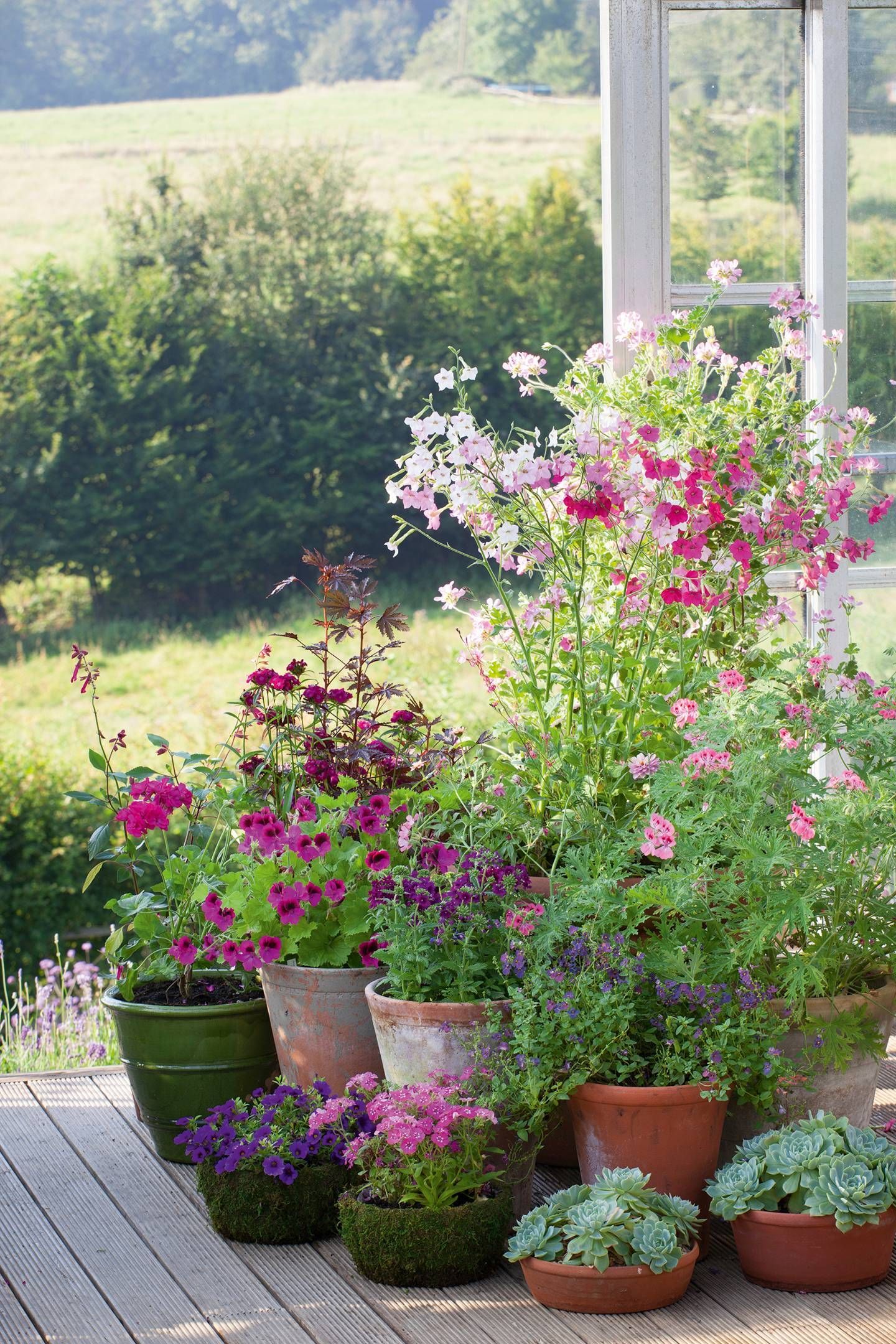 How to plant in pots and containers part 3: summer -   25 outdoor garden containers
 ideas