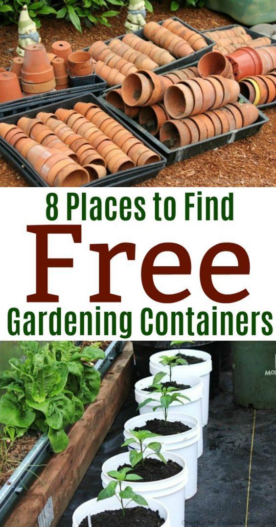 8 Places to Find Free Gardening Containers -   25 outdoor garden containers
 ideas