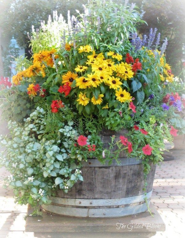 8 Stunning Container Gardening Ideas -   25 outdoor garden containers
 ideas