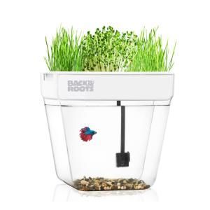 Back to the Roots Premium Acrylic Water Garden Fish Tank That Grows Food, Clear -   16 garden water roots
 ideas