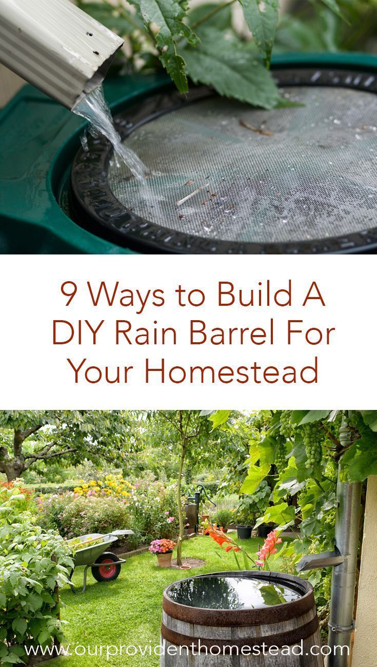 9 Ways to Make A DIY Rain Barrel To Water Your Plants -   16 garden water roots
 ideas
