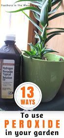 13 uses for peroxide in the garden -   16 garden water roots
 ideas