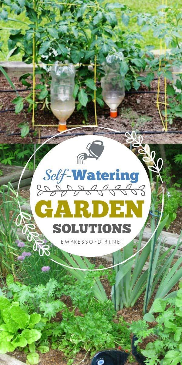 Practical Self-Watering Garden Ideas for Holidays and Hot Afternoons -   16 garden water roots
 ideas