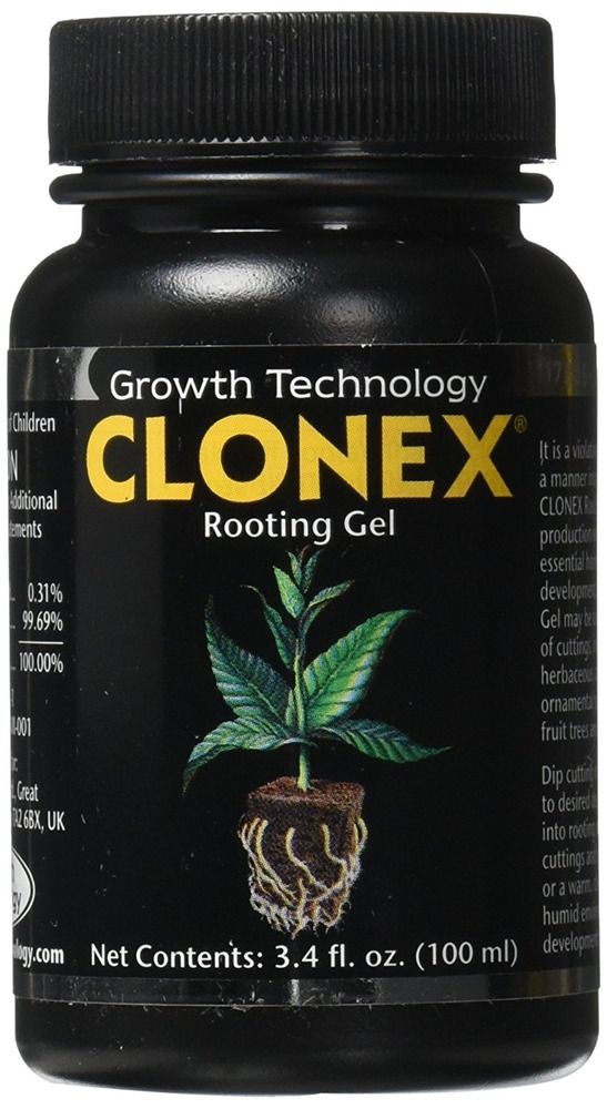 Details about Clonex Rooting Hormone Gel Clone and Simple Grow Plants From Cuttings 100 ml -   16 garden water roots
 ideas