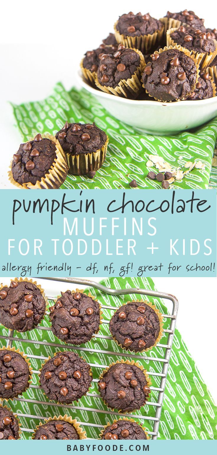Allergy-Friendly Pumpkin Chocolate Muffins for Toddler + Kids (perfect for school snacks + lunches) -   17 fall recipes for kids
 ideas