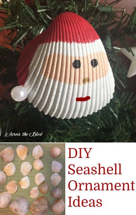 Simple DIY Shell Ornaments -   17 seashell crafts
 ideas