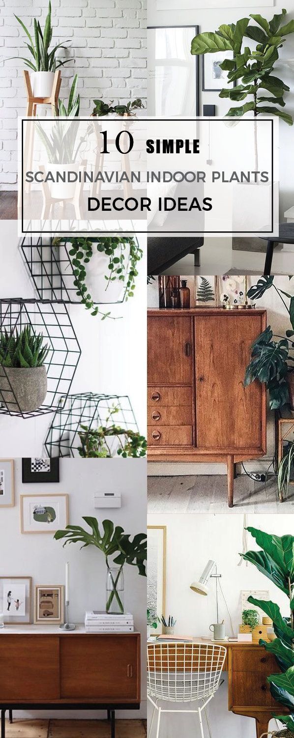 10 Scandinavian Indoor Plants Decor Ideas -   20 scandinavian style shelves
 ideas