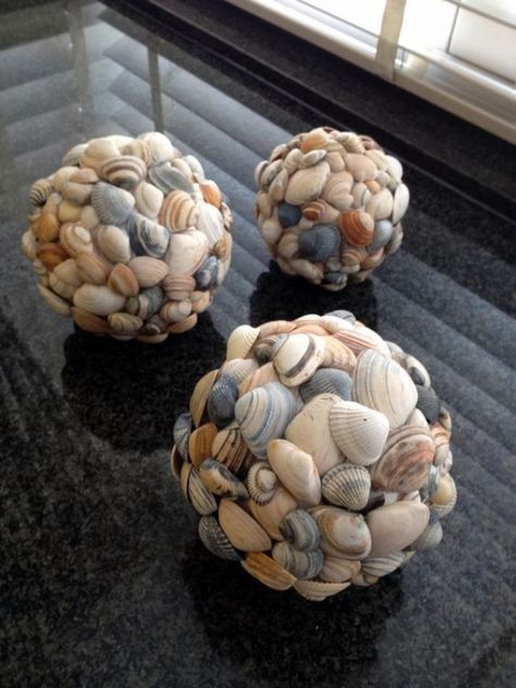 21 shell crafts seashell art
 ideas