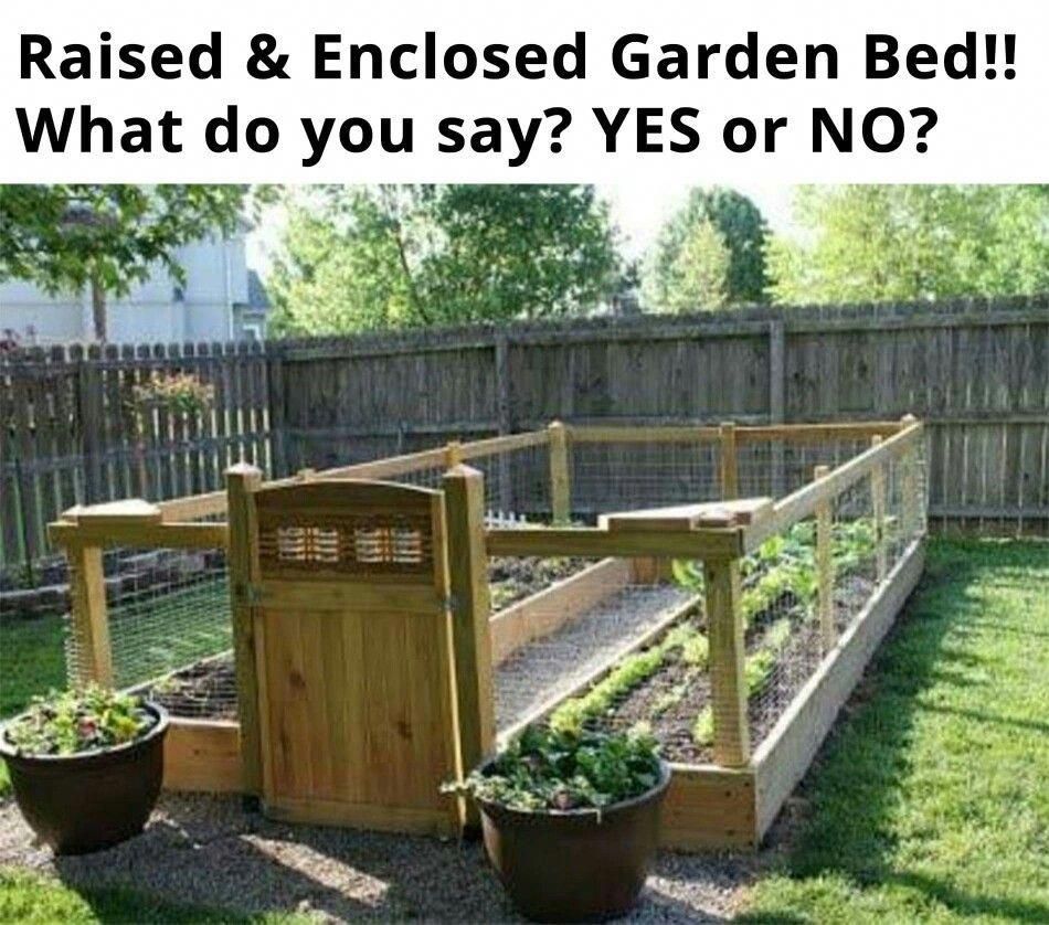 Raised and enclosed garden bed -   22 enclosed garden beds
 ideas