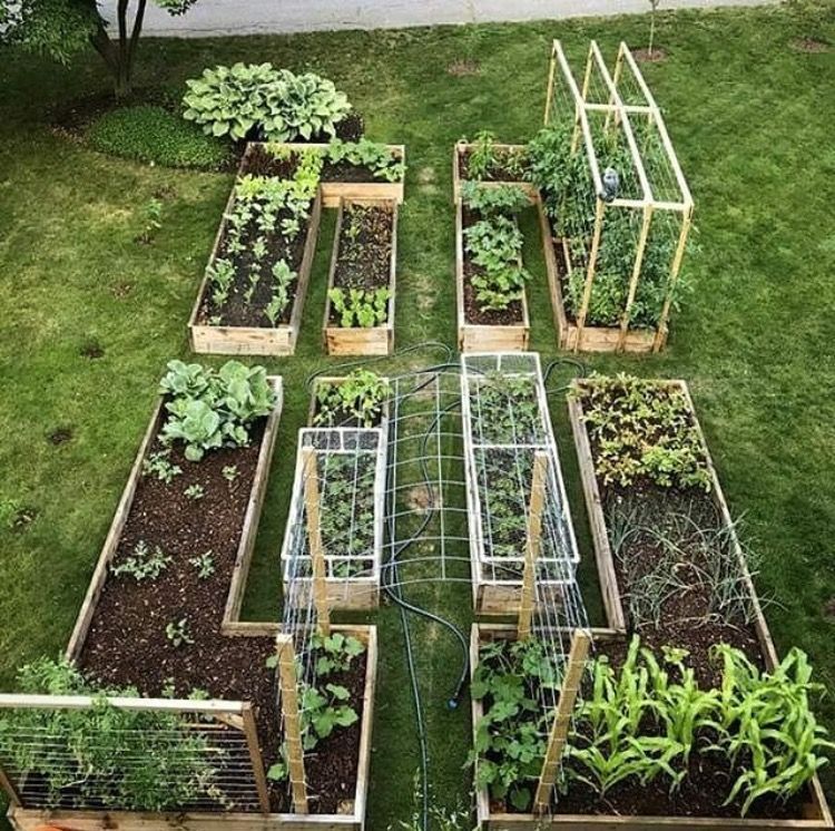 EXACTLY what I need but a bit bigger enclosed in a hoodie AND outside all within a fenced space to keep deer and bunnies out. -   22 enclosed garden beds
 ideas