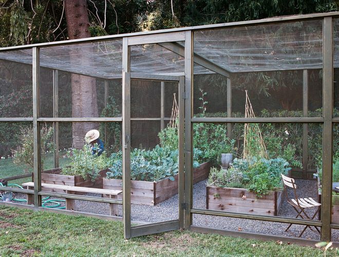 Advice on Canyon Farming From L.A.'s Vegetable Whisperer (9 photos) (Houzz) -   22 enclosed garden beds
 ideas