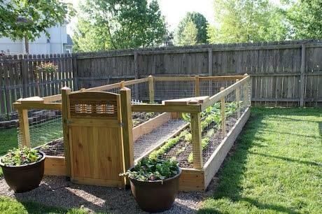 A fenced-in raised bed garden area can help protect your plants from the little woodland creatures who would like to eat your crops. -   22 enclosed garden beds
 ideas