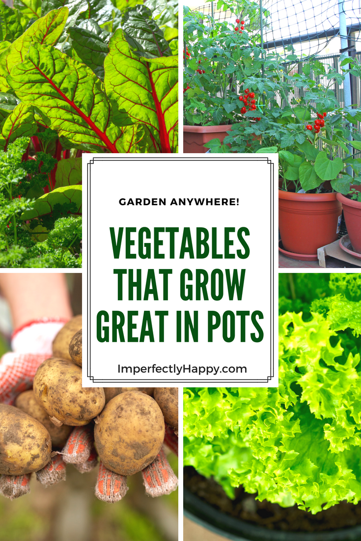 Vegetables in Pots the Best Veggies to Grow in Containers -   22 urban garden plans
 ideas