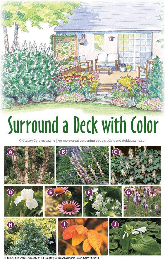 Colorful deck planting plan -   22 urban garden plans
 ideas