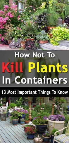How Not To Kill Plants In Containers, 13 Most Important Things To Know -   22 urban garden plans
 ideas