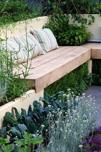 Wooden bench underplanted with herbs next to an edible garden including Brassicas - Kale and Helichrysum - Curry Plant - -   22 urban garden plans
 ideas
