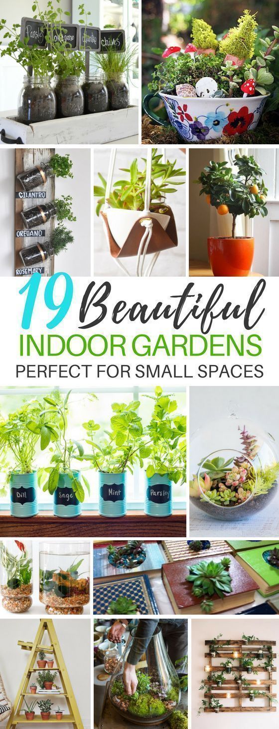 Indoor Garden Ideas That'll Make Your Home Come to Life -   22 urban garden plans
 ideas