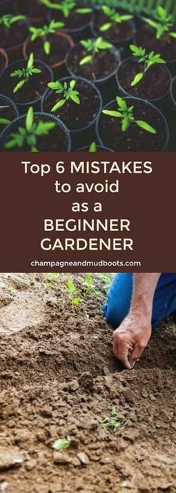 Top 6 Mistakes I Made as a Beginner Gardener -   22 urban garden plans
 ideas