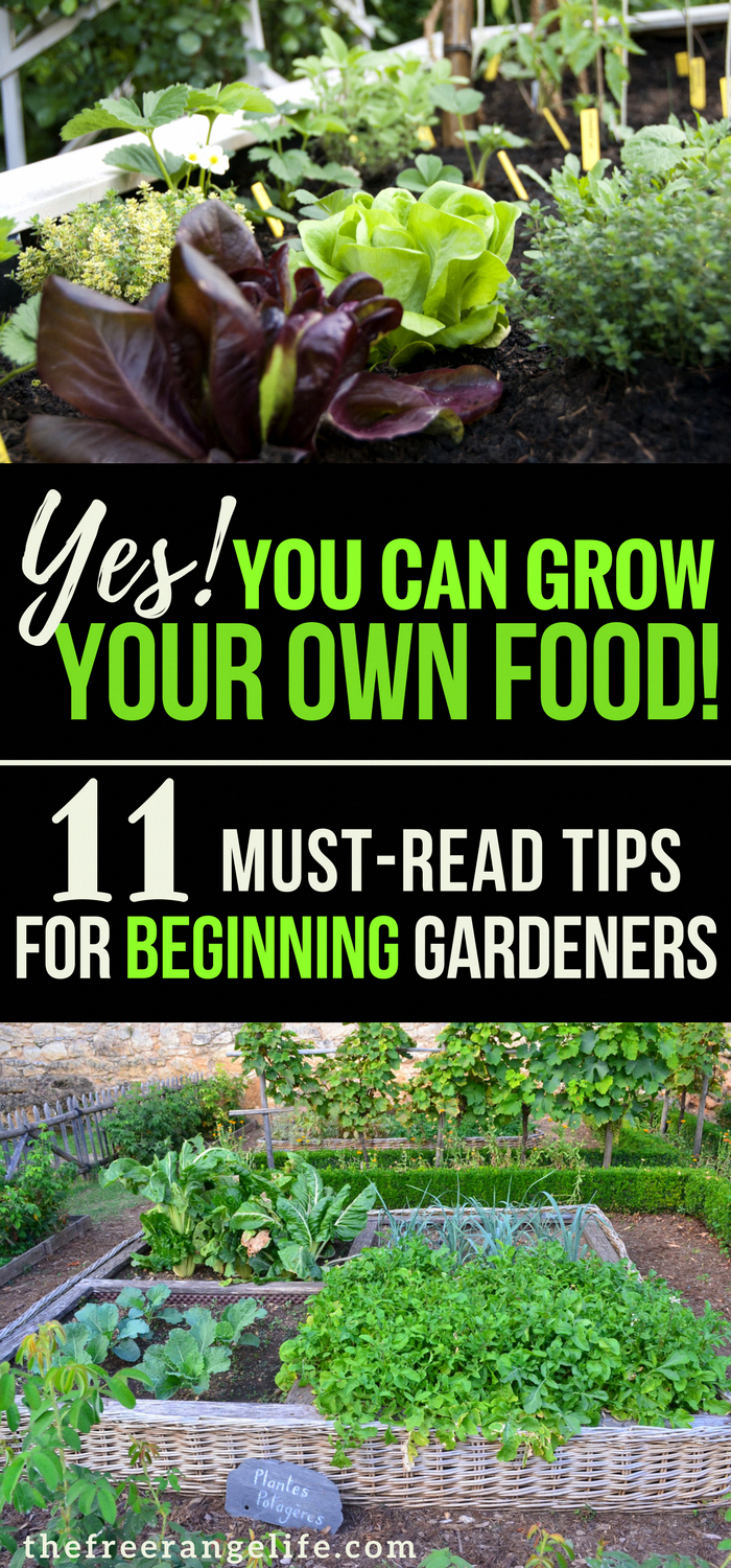 Looking For More Information On Organic Gardening? Consider These Ideas -   22 urban garden plans
 ideas