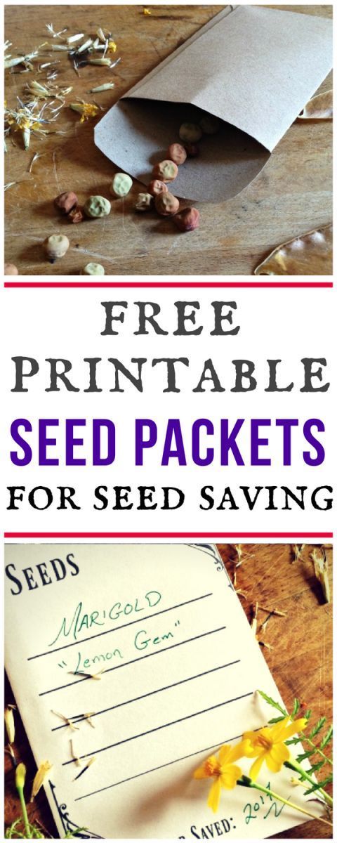 FREE PRINTABLE SEED PACKETS -   22 urban garden plans
 ideas