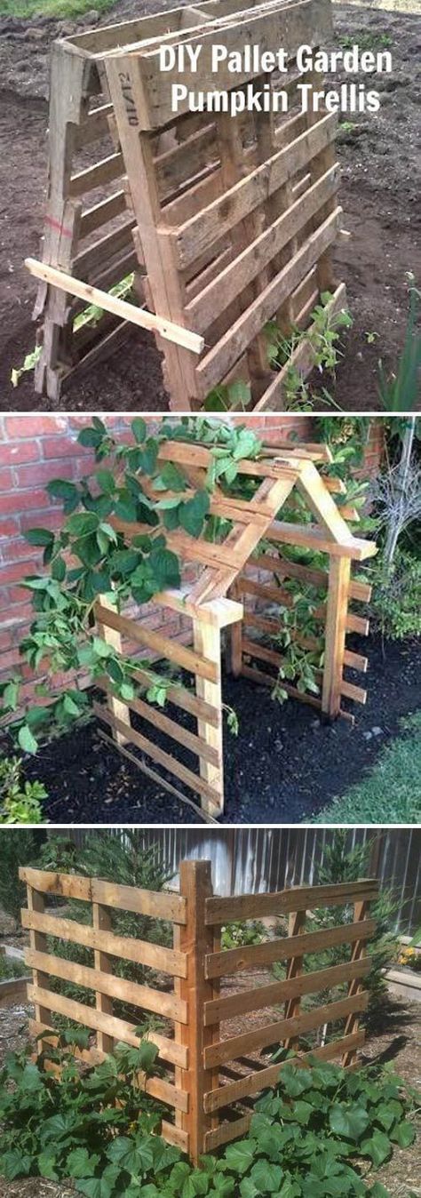 19 Successful Ways to Building DIY Trellis for Veggies and Fruits -   23 garden kids
 ideas