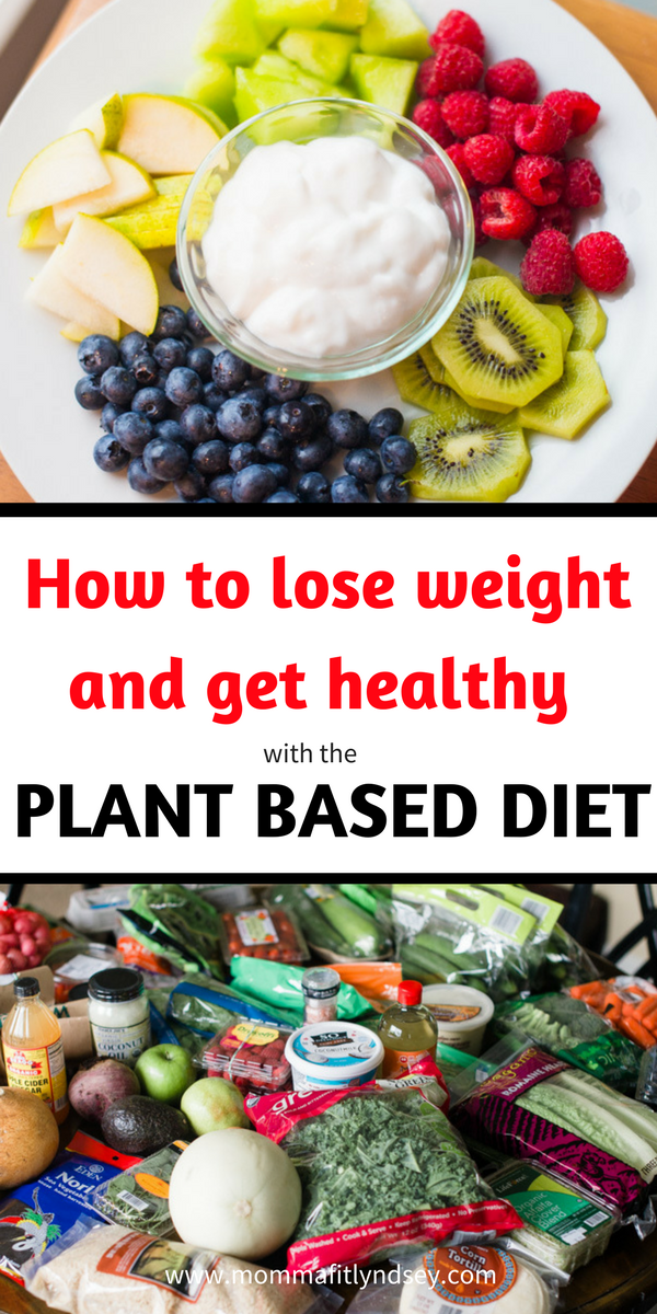 Plant Based Diet on a Budget for Beginners -   23 healthy diet vegan
 ideas