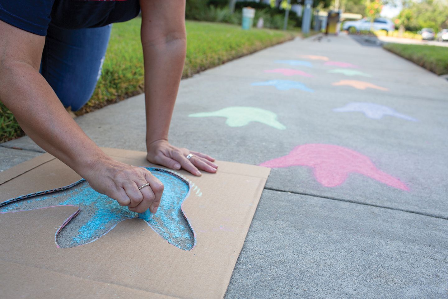 Make a sidewalk path to the Book Fair by drawing simple dinosaur footprints with colored chalk. Toolkit keyword: FOOTPRINT -   24 build a dinosaur crafts
 ideas