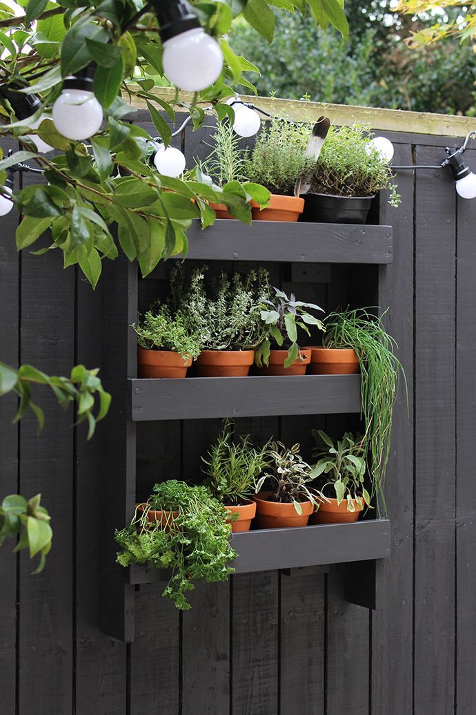 PLANT SCULPTURE LIKE YOU'VE NEVER SEEN BEFORE -   24 small courtyard garden
 ideas