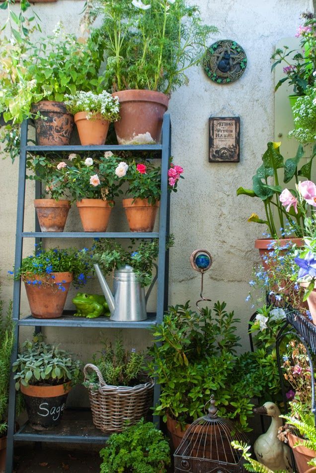The Magic Garden~My small space container garden: Hello Secret Garden! Posted by Danielle Bedics-Arizala, The Magic Garden -   24 small courtyard garden
 ideas
