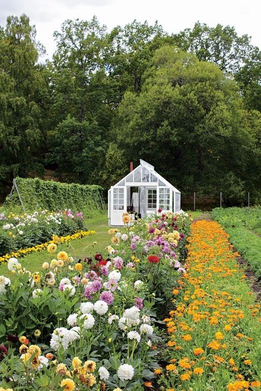 25 flower garden house
 ideas