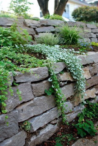 7 Incredible Dry Stack Stone Wall Landscaping Ideas -   25 stone garden beds
 ideas