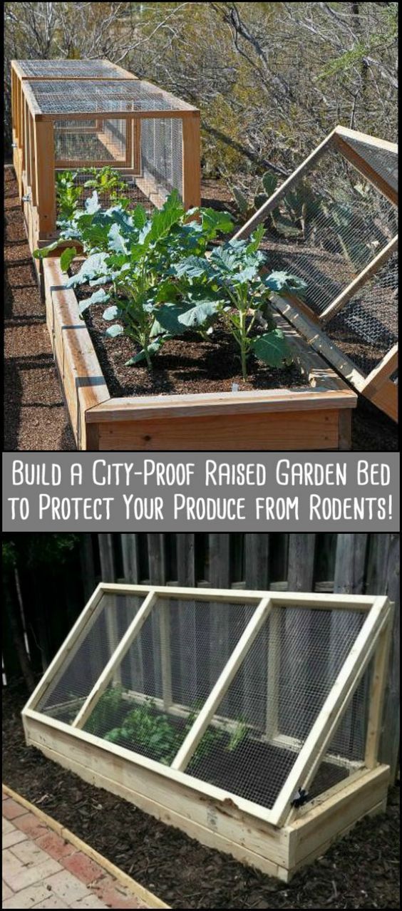 DIY Raised Garden Bed -   25 stone garden beds
 ideas