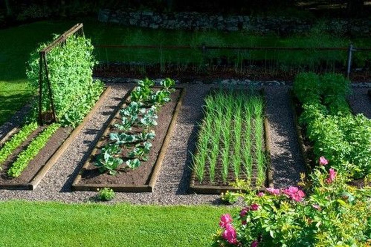 Affordable backyard vegetable garden designs ideas 61 -   25 stone garden beds
 ideas