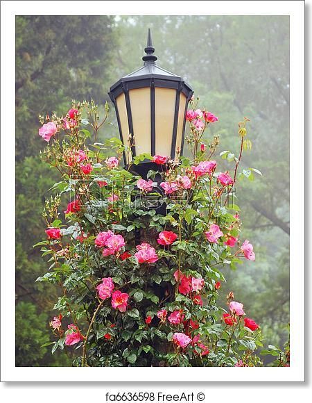Free art print of Lamp post and roses -   11 english garden quotes
 ideas