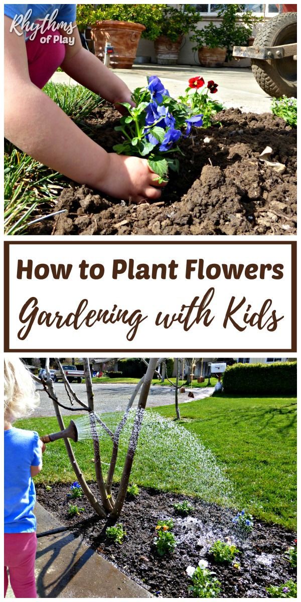 How to Plant Flowers: Organic Gardening with Kids -   13 garden kids corner
 ideas