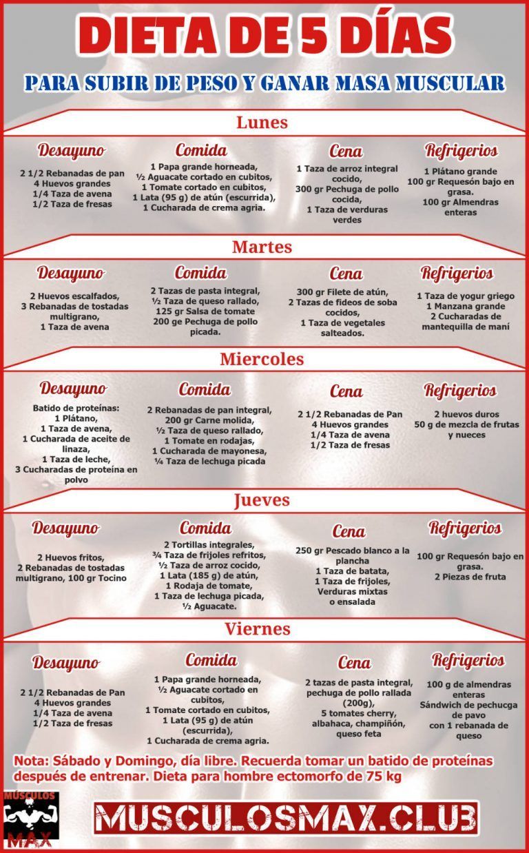 17 dietas para masa ideas