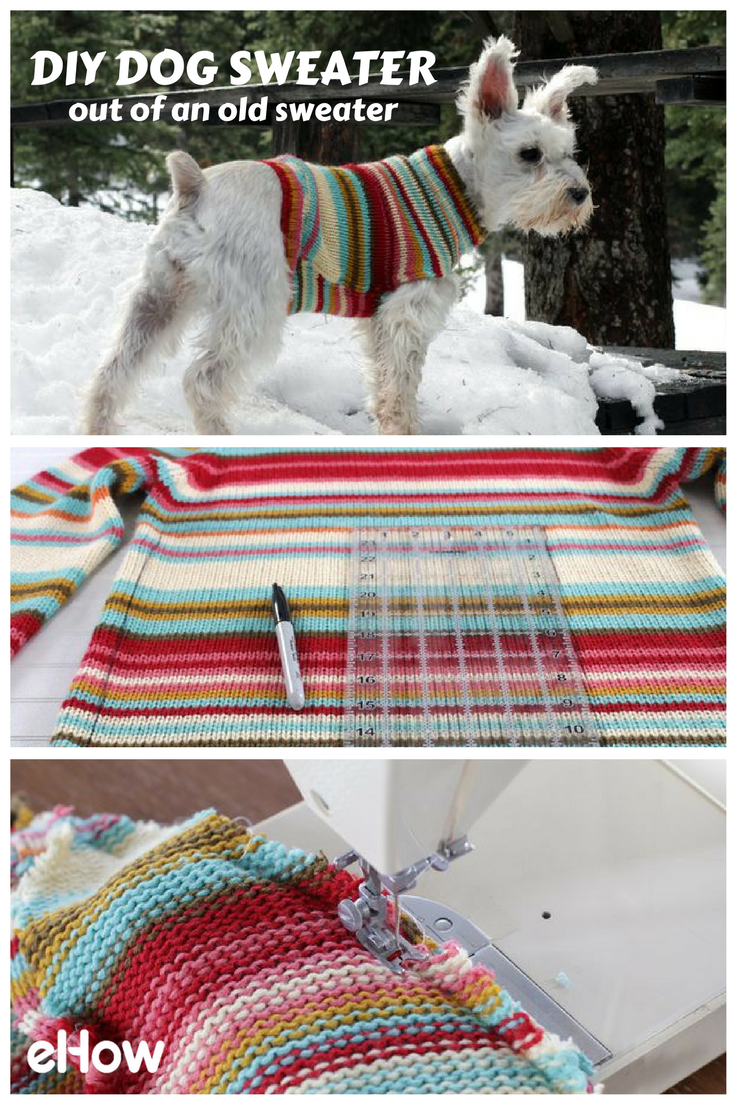 How to Turn an Old Sweater into an Adorable Dog Sweater -   21 DIY Clothes Winter easy
 ideas