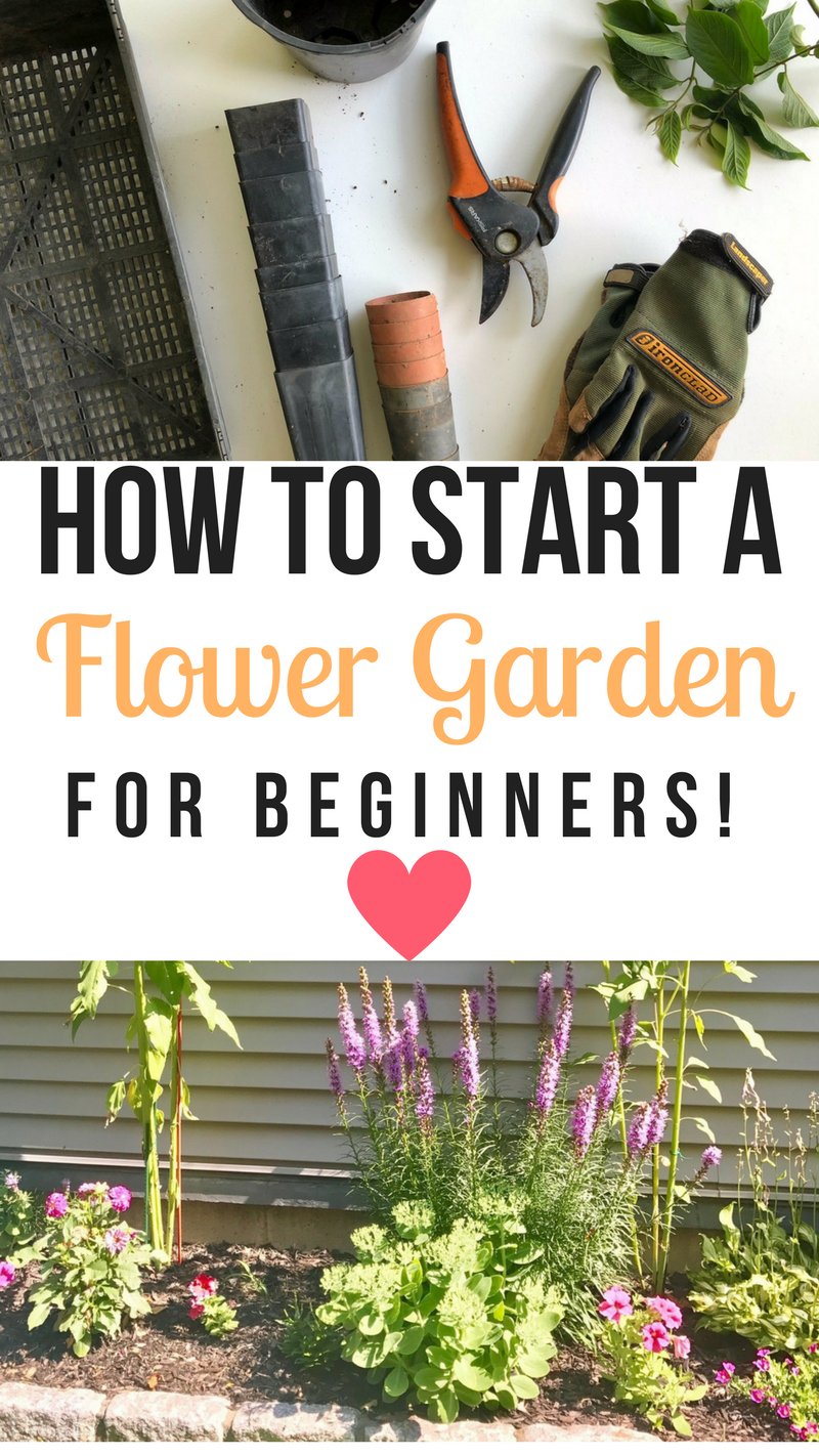 How to start a flower garden for beginners! A step-by-step guide -   21 flower garden landscape
 ideas