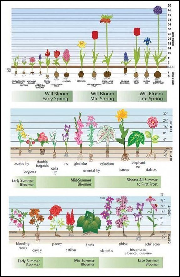 Backyard Landscaping - Basic Landscaping Planning Tips -   21 flower garden landscape
 ideas