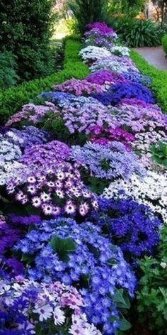 21 flower garden landscape
 ideas