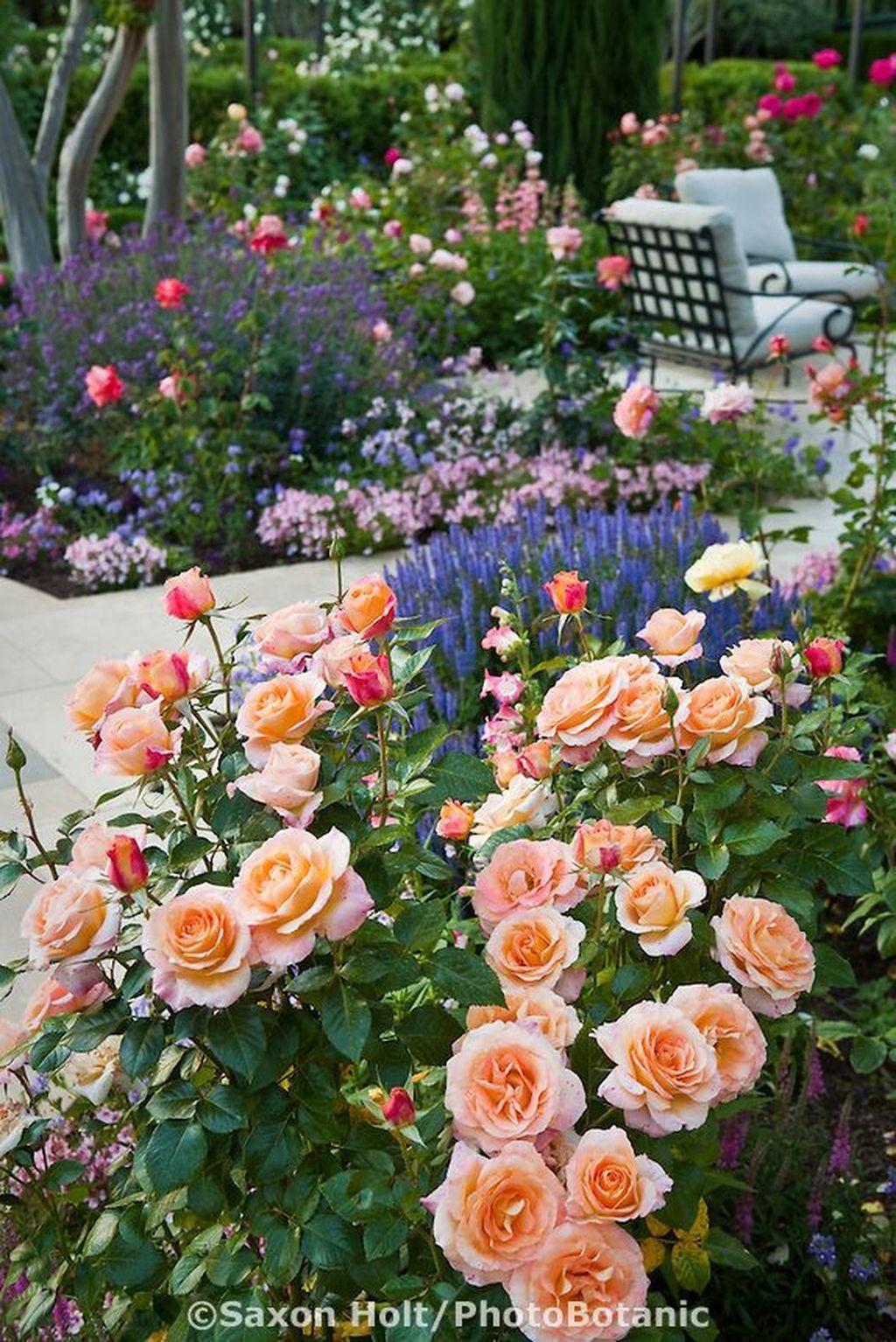 44 Beautiful Rose Flower Garden Ideas -   21 flower garden landscape
 ideas