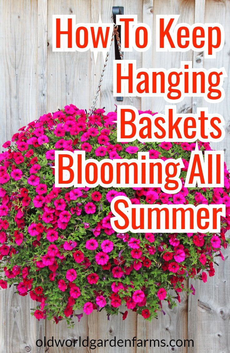 How To Rejuvenate Worn Out Hanging Baskets And Potted Plants -   21 flower garden landscape
 ideas