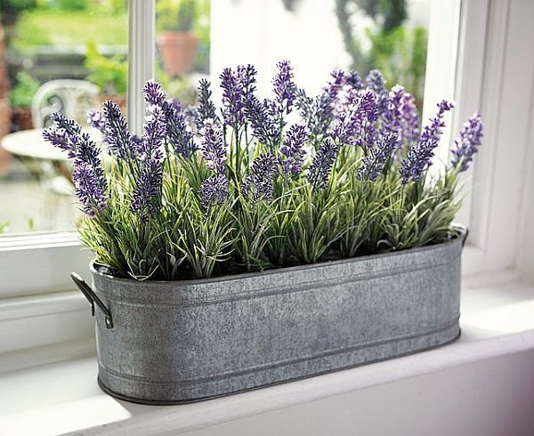 10 planting Room window
 ideas